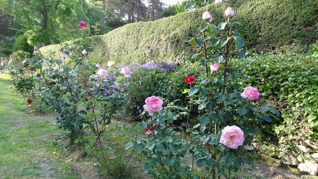 Bed and Breakfast Le Manoir de la Baldette à Gennes-Val-de-Loire Extérieur photo